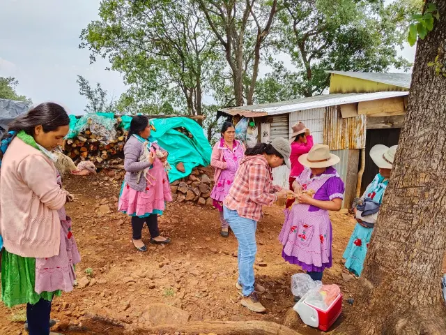 AT VACUNACIÓN DE AVES