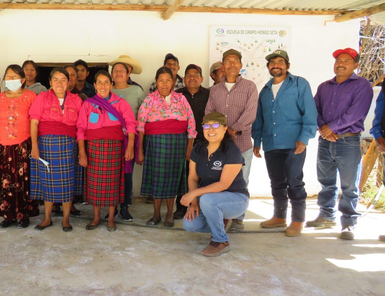 EC Equipo Hongo Seta Llano verde 2023