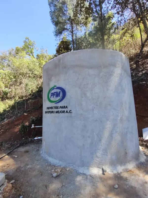 Guillermina AA-2023 1