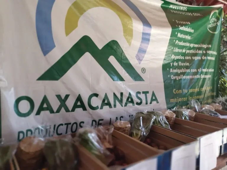 Oaxacanasta1
