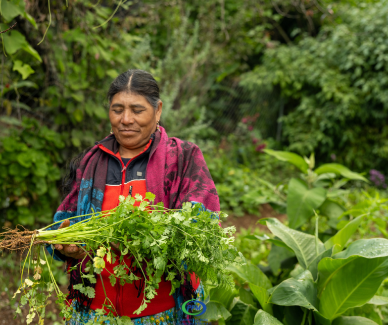 Productora de la región Mixes
