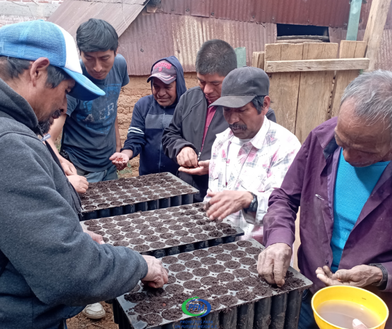 Escuela de Campo de Caducifolio Región Valles Centrales