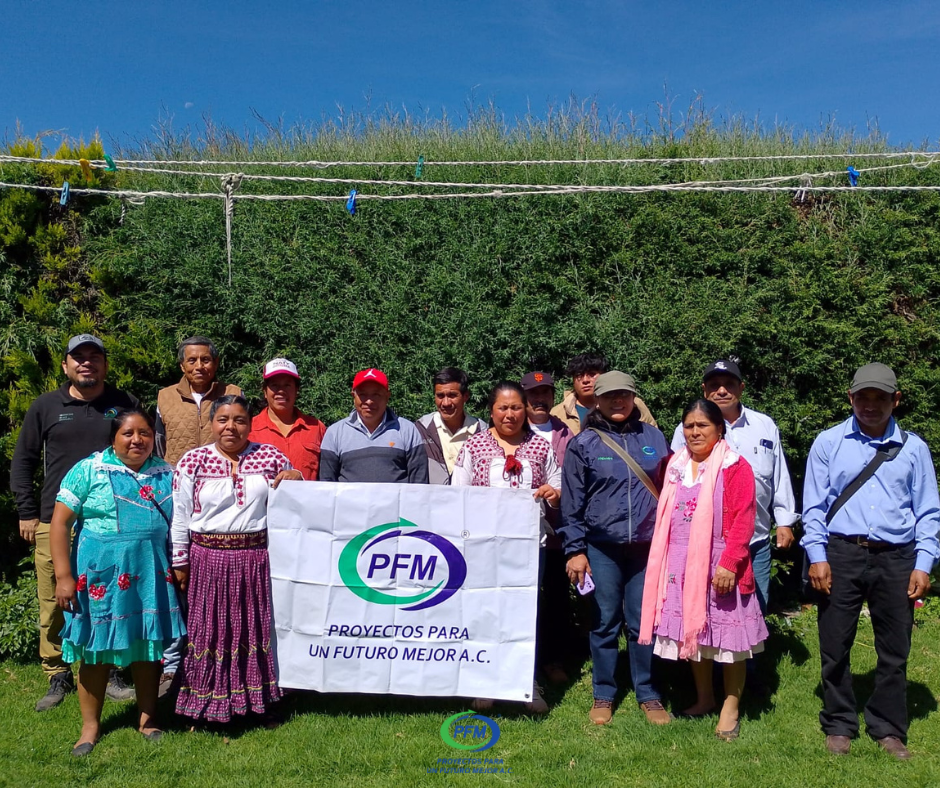 Productores de moras y hongos