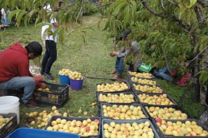 Programa Manejo de agua sustentable